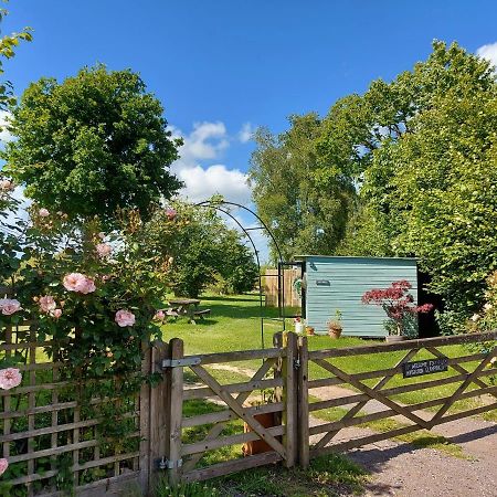 Hopgarden Glamping Luxury Shepherds Huts Wadhurst Εξωτερικό φωτογραφία