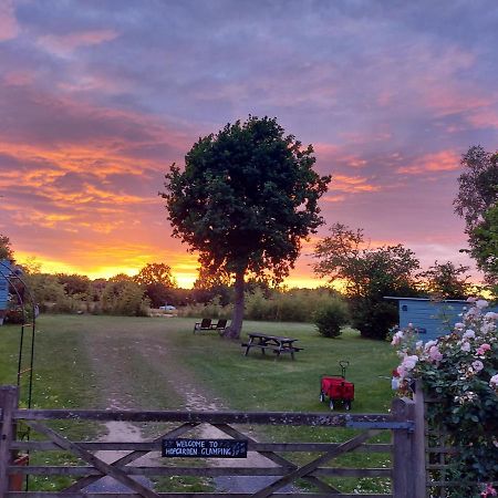 Hopgarden Glamping Luxury Shepherds Huts Wadhurst Εξωτερικό φωτογραφία