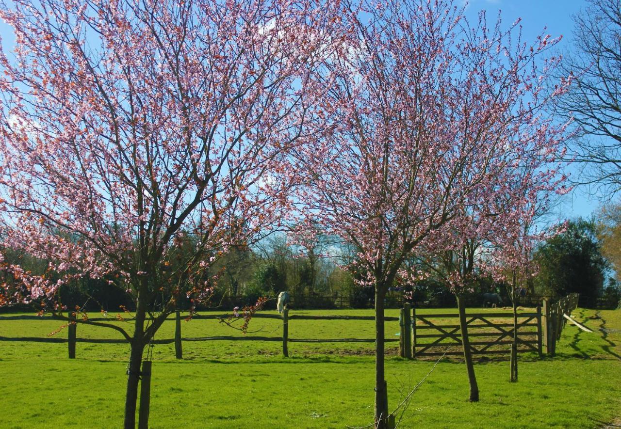 Hopgarden Glamping Luxury Shepherds Huts Wadhurst Εξωτερικό φωτογραφία