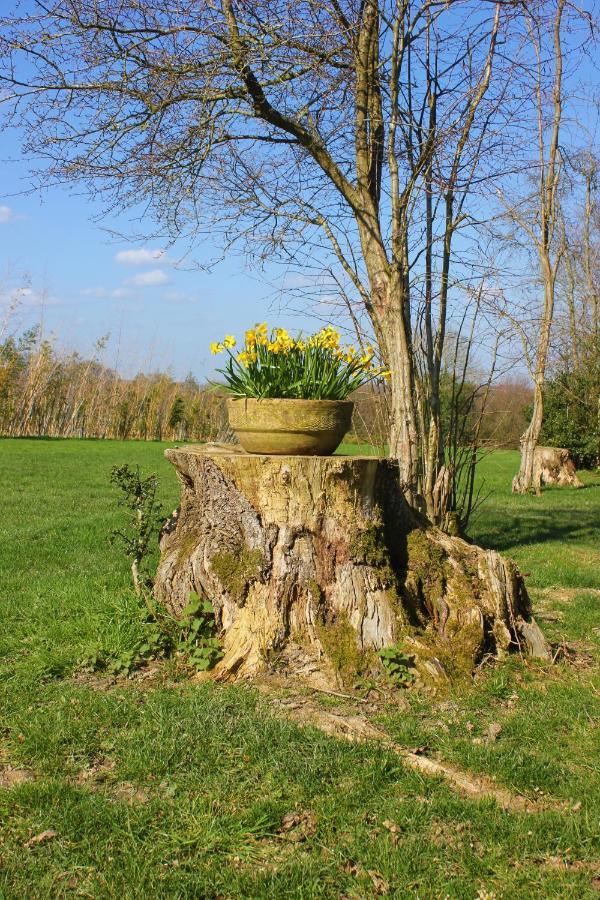 Hopgarden Glamping Luxury Shepherds Huts Wadhurst Εξωτερικό φωτογραφία