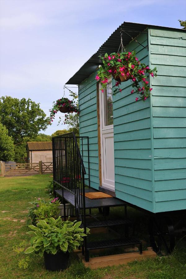 Hopgarden Glamping Luxury Shepherds Huts Wadhurst Εξωτερικό φωτογραφία