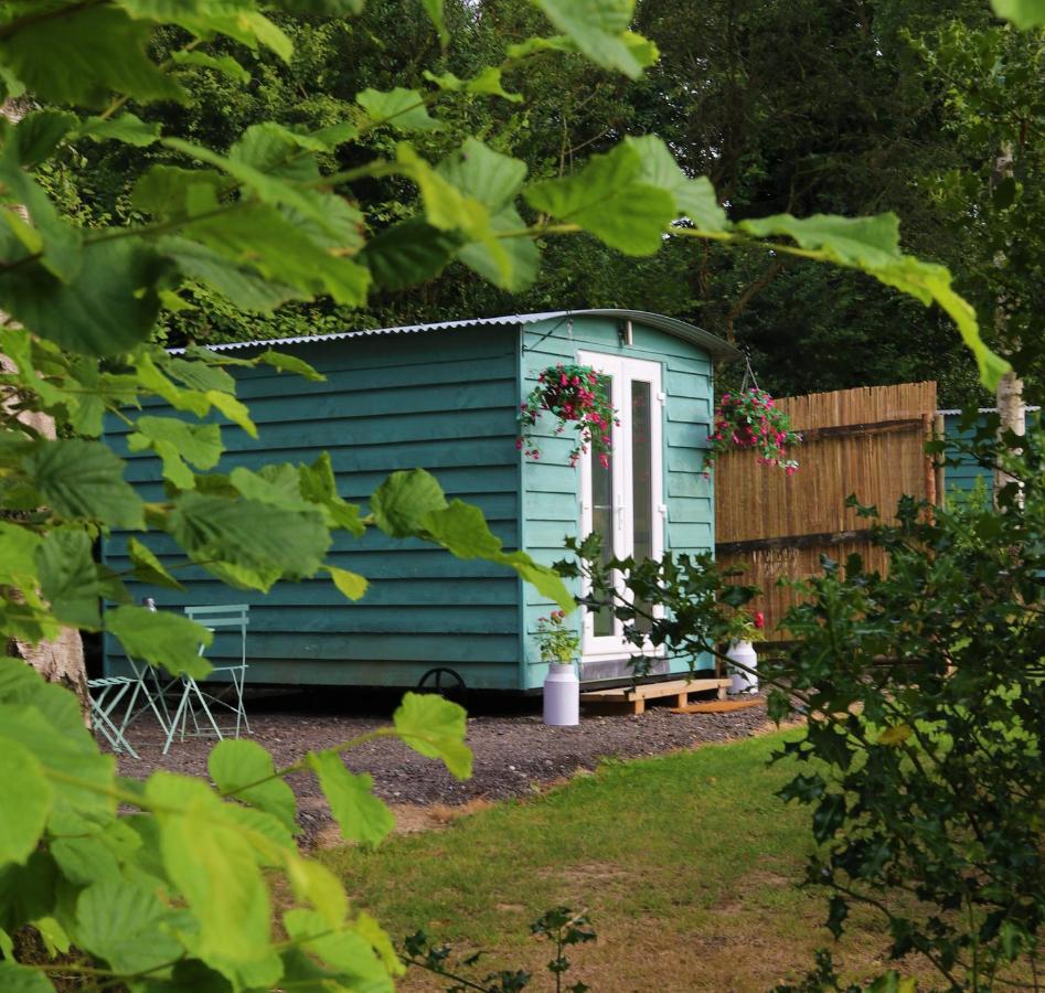 Hopgarden Glamping Luxury Shepherds Huts Wadhurst Εξωτερικό φωτογραφία