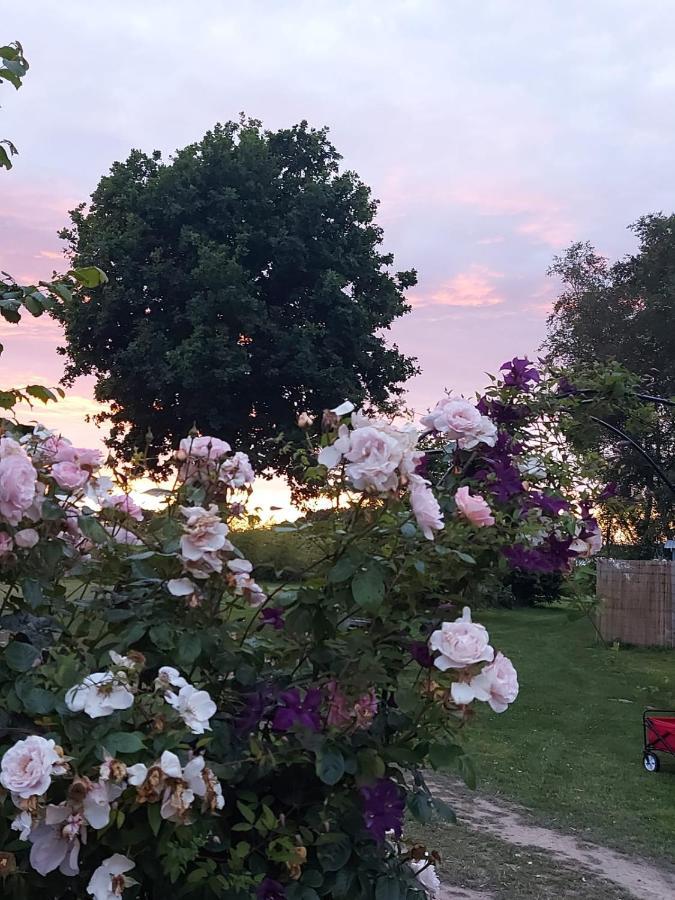 Hopgarden Glamping Luxury Shepherds Huts Wadhurst Εξωτερικό φωτογραφία
